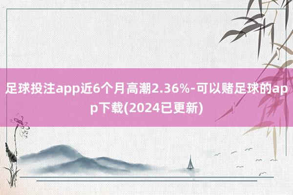 足球投注app近6个月高潮2.36%-可以赌足球的app下载(2024已更新)