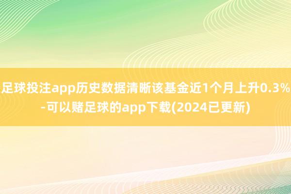 足球投注app历史数据清晰该基金近1个月上升0.3%-可以赌足球的app下载(2024已更新)