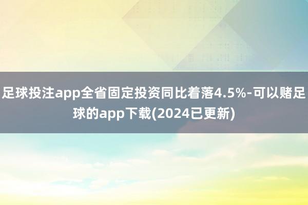 足球投注app全省固定投资同比着落4.5%-可以赌足球的app下载(2024已更新)