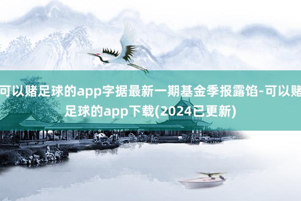 可以赌足球的app字据最新一期基金季报露馅-可以赌足球的app下载(2024已更新)