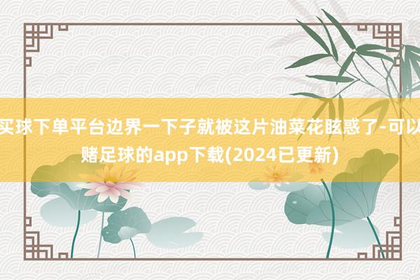 买球下单平台边界一下子就被这片油菜花眩惑了-可以赌足球的app下载(2024已更新)