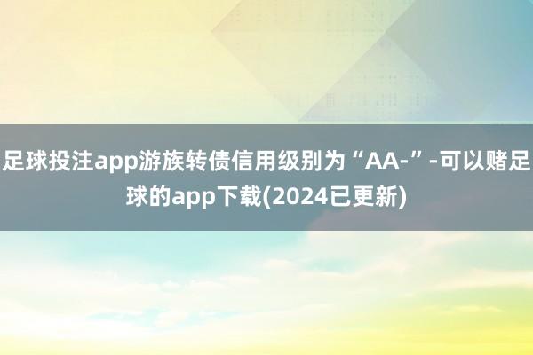 足球投注app游族转债信用级别为“AA-”-可以赌足球的app下载(2024已更新)
