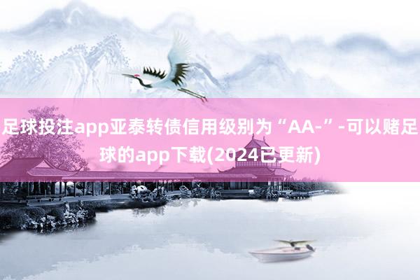 足球投注app亚泰转债信用级别为“AA-”-可以赌足球的app下载(2024已更新)