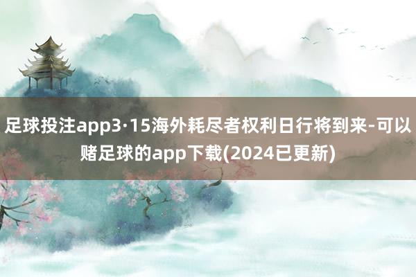足球投注app3·15海外耗尽者权利日行将到来-可以赌足球的app下载(2024已更新)