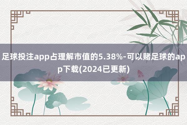 足球投注app占理解市值的5.38%-可以赌足球的app下载(2024已更新)