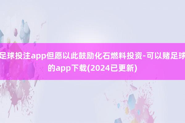 足球投注app但愿以此鼓励化石燃料投资-可以赌足球的app下载(2024已更新)