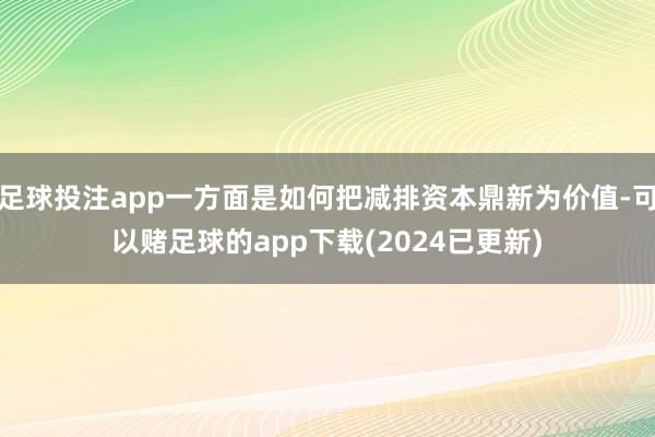 足球投注app一方面是如何把减排资本鼎新为价值-可以赌足球的app下载(2024已更新)