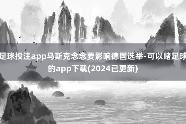 足球投注app马斯克念念要影响德国选举-可以赌足球的app下载(2024已更新)