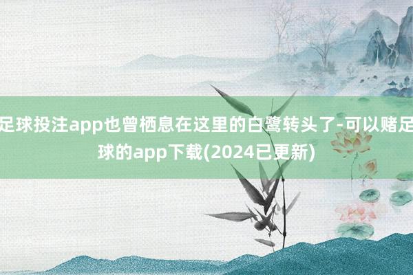 足球投注app也曾栖息在这里的白鹭转头了-可以赌足球的app下载(2024已更新)