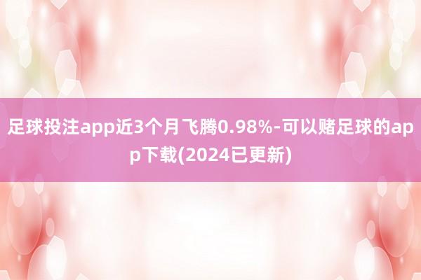 足球投注app近3个月飞腾0.98%-可以赌足球的app下载(2024已更新)