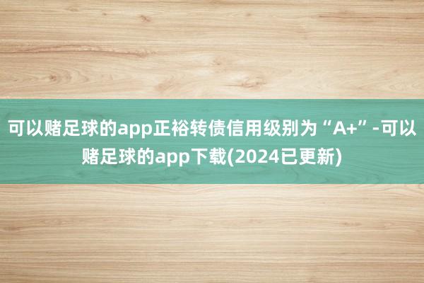 可以赌足球的app正裕转债信用级别为“A+”-可以赌足球的app下载(2024已更新)