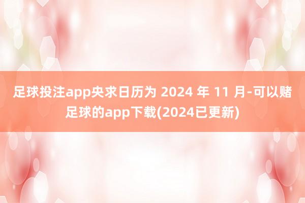 足球投注app央求日历为 2024 年 11 月-可以赌足球的app下载(2024已更新)