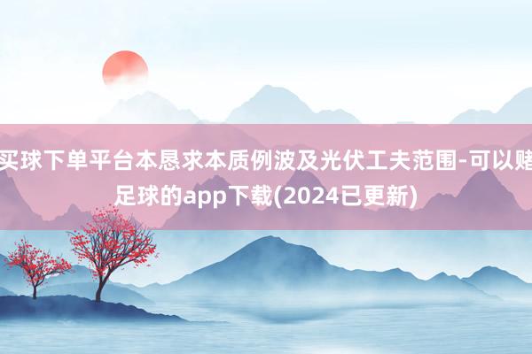 买球下单平台本恳求本质例波及光伏工夫范围-可以赌足球的app下载(2024已更新)