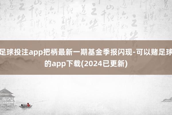 足球投注app把柄最新一期基金季报闪现-可以赌足球的app下载(2024已更新)