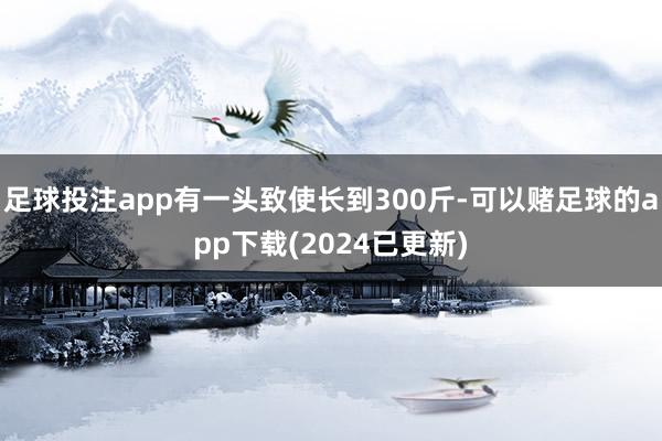 足球投注app有一头致使长到300斤-可以赌足球的app下载(2024已更新)