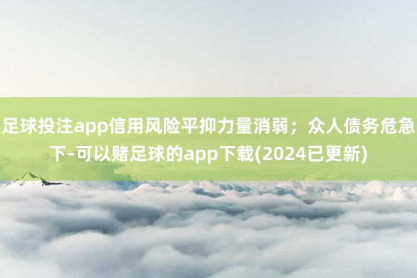 足球投注app信用风险平抑力量消弱；众人债务危急下-可以赌足球的app下载(2024已更新)
