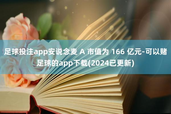 足球投注app安说念麦 A 市值为 166 亿元-可以赌足球的app下载(2024已更新)