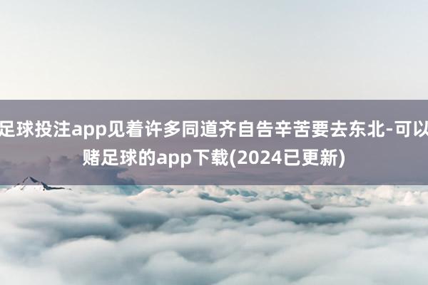 足球投注app见着许多同道齐自告辛苦要去东北-可以赌足球的app下载(2024已更新)